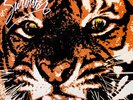 SURVIVOR Eye Of The Tiger Vinyl Record Album LP Scotti Brothers 1982 1st Rock