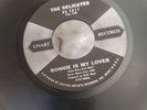 The Delicates 'Black and White Thunderbird/Ronnie is My Lover' Usa 7inch Single