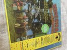 KING GIZZARD & LIZARD WIZARD Paper Mâché Dream 3d COLOR LP Murlocs Migrate House