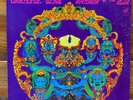 Grateful Dead – Anthem Of The Sun – Psych Rock Vinyl LP – OG