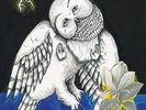 Magnolia Electric Company Co by Songs: Ohia