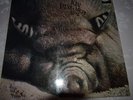 Kin Ping Meh - Kin Ping Meh No.2 LP Vinyl Schallplatte Original von 1972
