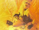 The Cramps – A Date With Elvis 1st Pressing English Import Stereo LP, Vinyl 1986