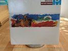 Depeche Mode But not tonight Sire stripped Maxi LP 1986 rare Vinyl mint-