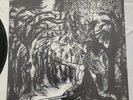 Graveland - Carpathian Wolves First Press Vinyl Black Metal