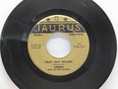 DONNIE AND THE DEL CHORDS (THAT OLD FEELING B/W TRANSYLVANIA TWIST)        45RPM