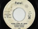Northern Soul 45 - Audrey Akins - Down Came My Tears - Petal VG+