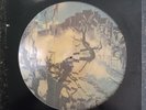 Bauhaus ‎– Burning From The Inside - Picture Disc - BEGA 45P - RARE