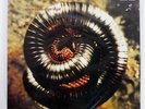 NINE INCH NAILS CLOSER TO GOD ISLAND 12ISX596 UK VINYL 12