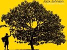 Jack Johnson | Black Vinyl LP | In Between Dreams | UMR