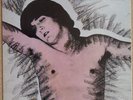 P.J. Proby Heroes & The Passenger 12
