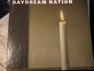 Sonic Youth-Daydream Nation-4 LP BOX SET-inserts-booklet-Thurston Moore-VG++
