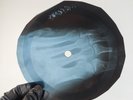 BEATLES SGT PEPPERS LONELY HEAR X-Ray USSR Record Roentgen Ribs Bone Music Vinyl