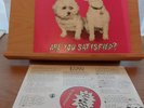 Are You Satisfied? by Slaves (vinyl, 2015)