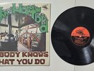 John Hartford vinyl LP - Nobody Knows What You Do 1976 Flying Fish Shrink EX