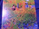 Jhene Aiko Trip Vinyl, Brand New, Mint, Orange Transluscent