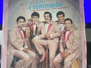 Los Caminantes-“Guanajuato...para America -33 RPM Luna Records