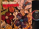 The Beach Boys Wild Honey Vinyl LP Capitol T 2859 Mono 1st Pressing Darlin'