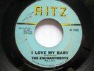 the ENCHANTMENTS 45 Pains in my Heart I love My Baby RITZ doowop   Gf 13