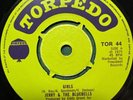 JERRY & THE BLUEBELLS Girls TORPEDO TOR44 1975 Vinyl EX