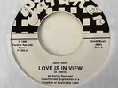 Modern Soul 45 DAVID NEVIN Love Is In View/Shine HEAR Pardner
