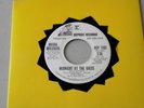 POP  MARIA MULDAUR  MIDNIGHT AT THE OASIS   PROMO  NEAR MINT COPY  ANY