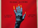 THE FLESH EATERS A MINUTE TO PRAY A SECOND TO DIE OG RUBY LP PUNK ROCK EX