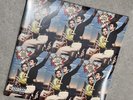Lana Del Rey - Norman Rockwell NFR Green Vinyl LP Exclusive Webstore Signed Art