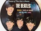 THE BEATLES MISERY EP 45 PICTURE DISC Vee Jay