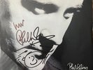 Phil Collins Signed W/Mini-Doodle “Another Day in Paradise” 45 Picture Sleeve