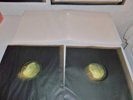 THE BEATLES MINT UNPLAYED CONDITION ALL 4 SIDES DOUBLE WHITE ALBUM VINYL ACE