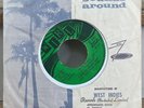 Francis Regis WILD WORLD Cat Stevens Cover Reggae Barbados Single LISTEN
