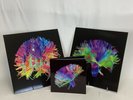 Muse 2nd Law CD and 2 LPs Collector's Boxset with Posters (R) MO#8755