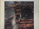 Roger Morris First Album rare Folk Rock Uk 1st pressing Regal Zonophone 1972