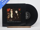 The Sisters Of Mercy This Corrosion 12
