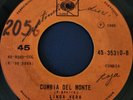 CUMBIA DEL MONTE Linda Vera  CUMBIA MEX SABOR DANCEFLOOR HIT   AUDIO