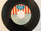 THE CHERRY SLUSH  , rock GARAGE  60's MICHIGAN -  RARE
