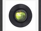 The Beatles - 