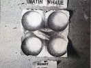 Satin Whale-Desert Places German prog lp reissue brand new Missing Vinyl