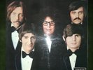 the turtles