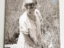 Taylor Swift Folklore Betty's Garden Lavender Vinyl Limited Edition