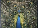 The Bluetones - Expecting To Fly (Ltd LP) (Signed) (EX+/EX)
