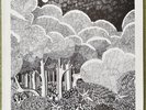 SHIDE AND ACORN--UNDER THE TREE--PSYCHE FOLK ROCK.