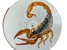 SCORPIONS, 12