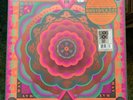 Grateful Dead - 'Boston Garden, MA 5/7/77 Live' RSD 2023 180G 5LP Vinyl Box Set