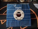 Blondie One Way Or Another USA Promo 1979 CHS 2336 Stereo/Mono Company Sleeve