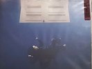Billie Eilish Hit Me Hard and Soft Walmart Exclusive. LTD Grey Bio Vinyl Read DE