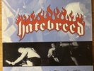Hatebreed - Satisfaction Is the Death of Desire LP (Dark Green/Jade Green Vinyl)
