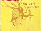 Bunny Wailer - Rock 'N' Groove (LP) (Very Good (VG)) - 1687172677