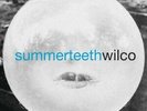 Summerteeth by Wilco LP Record Like New Jeff Tweedy Indie Rock Alternative 90s